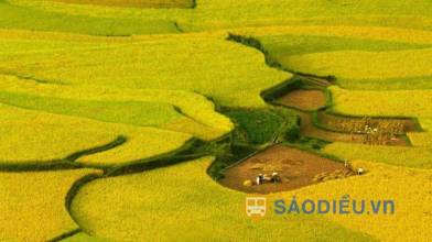 Khám phá các địa điểm có ruộng bậc thang đẹp nhất tại Sapa