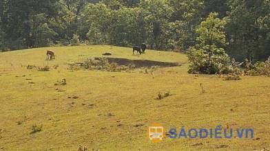 Top những địa điểm du lịch đẹp và nổi tiếng nhất tại Cao Bằng