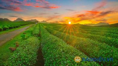 Bảng giá thuê xe từ Hà Nội đi Mộc Châu mới nhất 2025