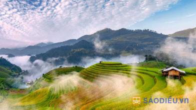 Bảng giá thuê xe từ Hà Nội đi Tú Lệ, Mù Cang Chải, Trạm Tấu mới nhất 2025